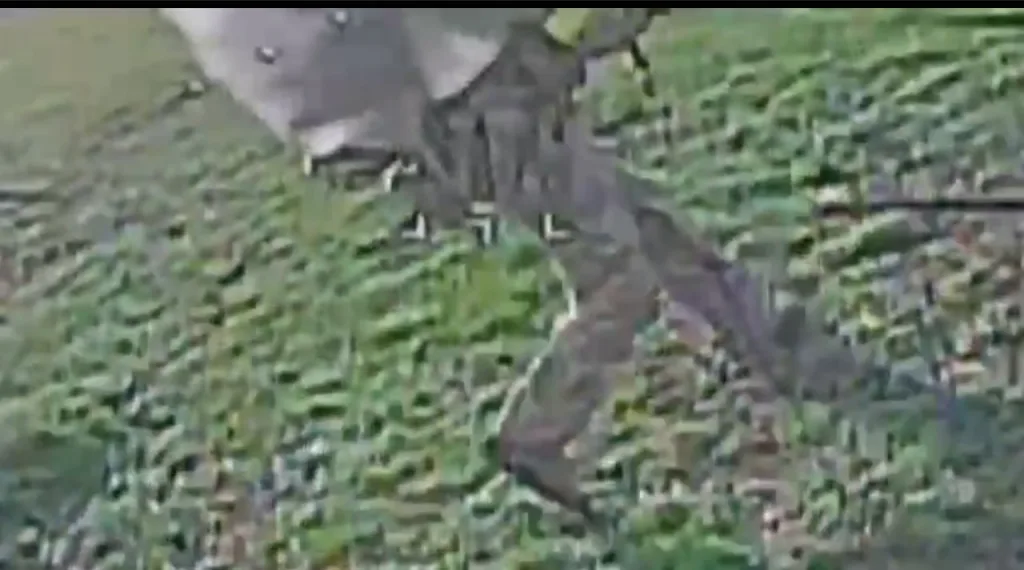 Одна нога здесь, другая там. Работа операторов FPV-дронов ГрВ «Центр» на своём тактическом направлении