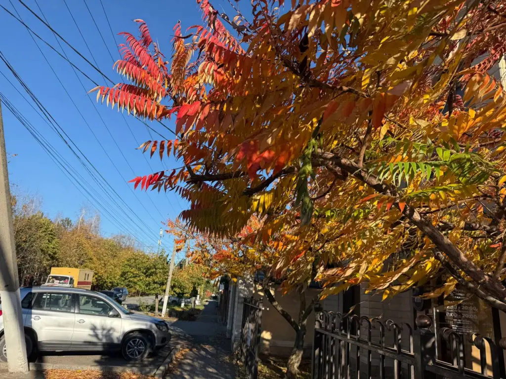 Климатическое безумие: от морозов до летнего тепла — точный прогноз погоды на ноябрь по регионам