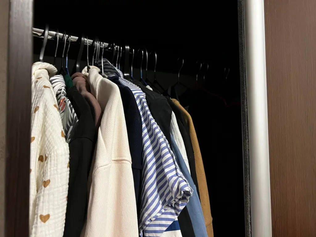 Моль исчезла раз и навсегда: раскладываю в шкафу корки от этого фрукта — работает лучше магазинных средств