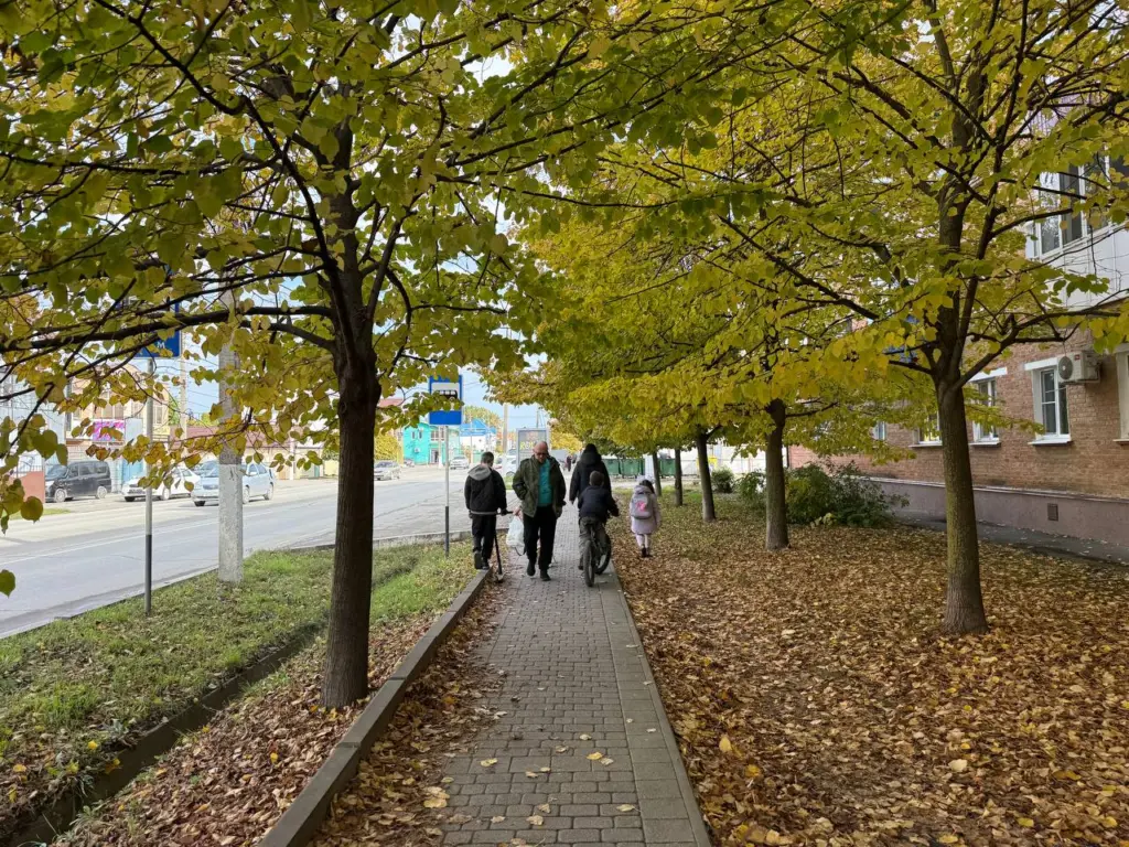 Вы напрасно посещали школу, если произносите эту фразу: она имеется лишь в запасе невежественных. Проверьте свои знания