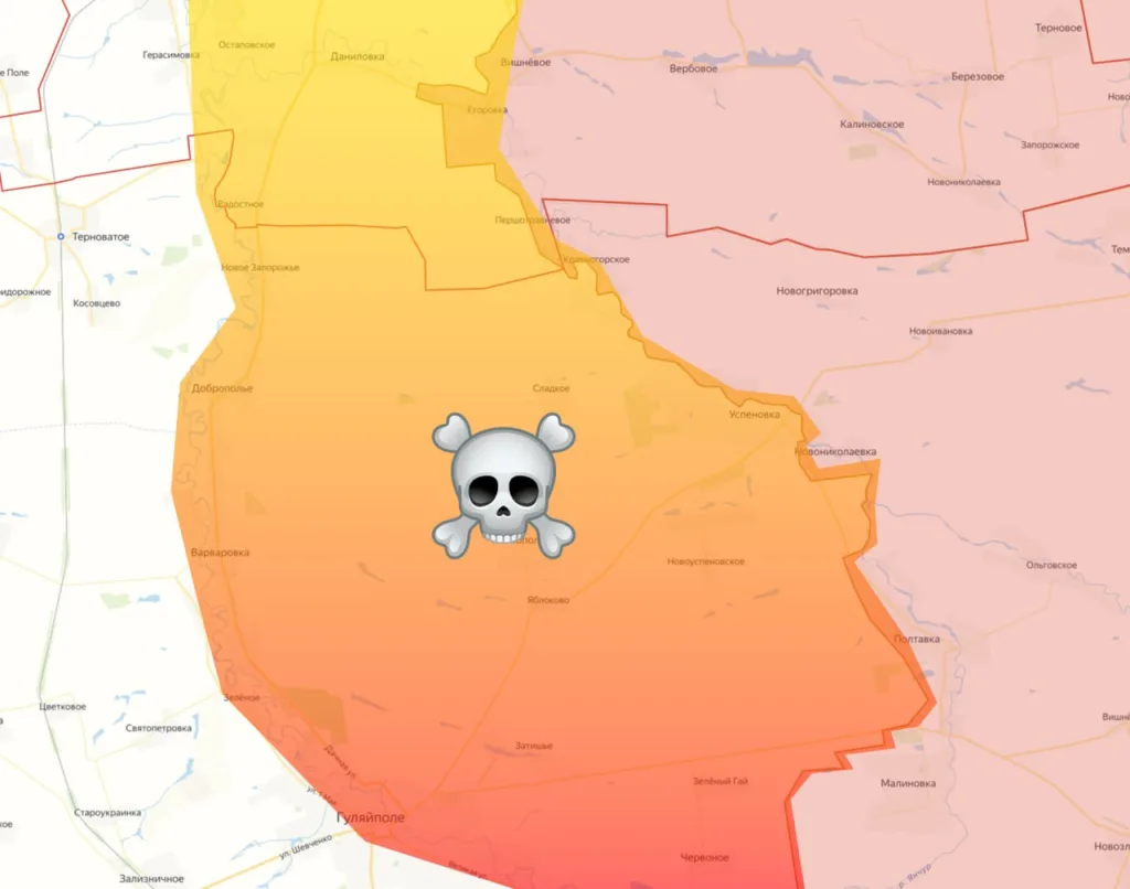 Населенный пункт Даниловка — кадры со стороны противника
