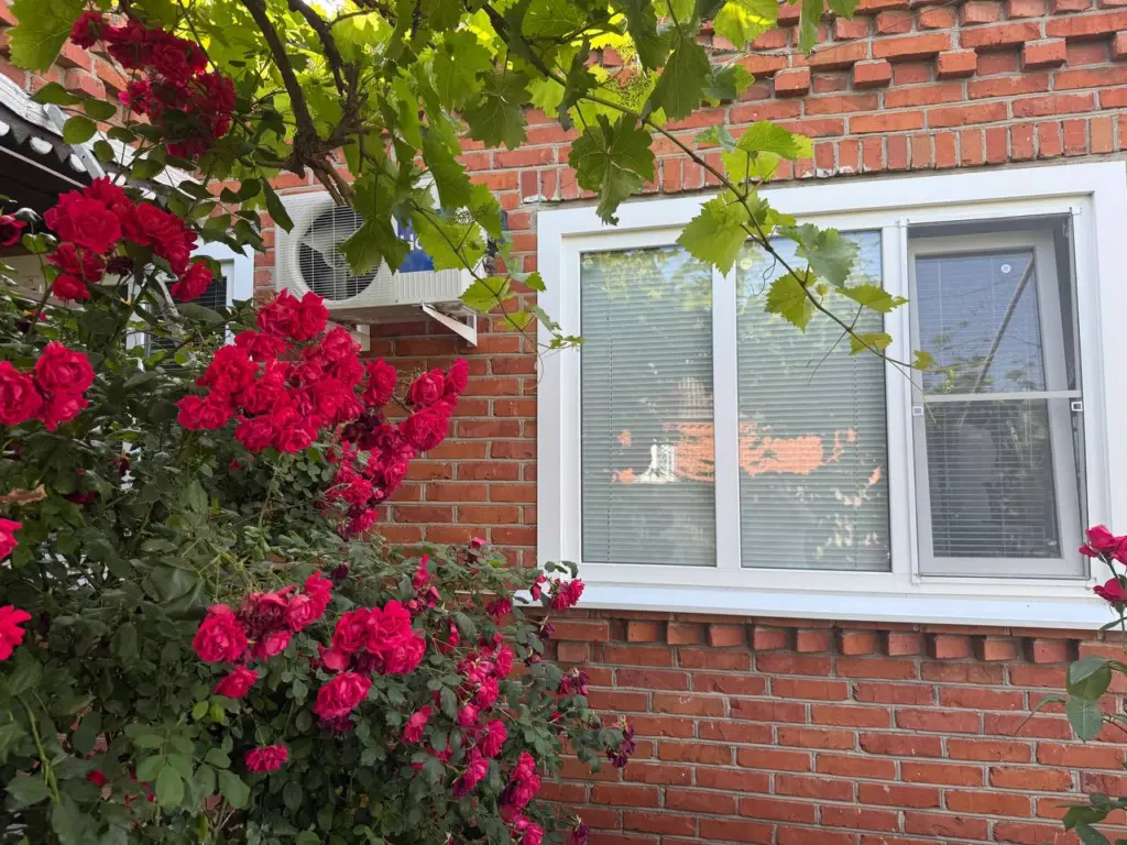 Этих людей не нужно приглашать в свой дом, даже если это близкие родственники: мудрость Харуки Мураками