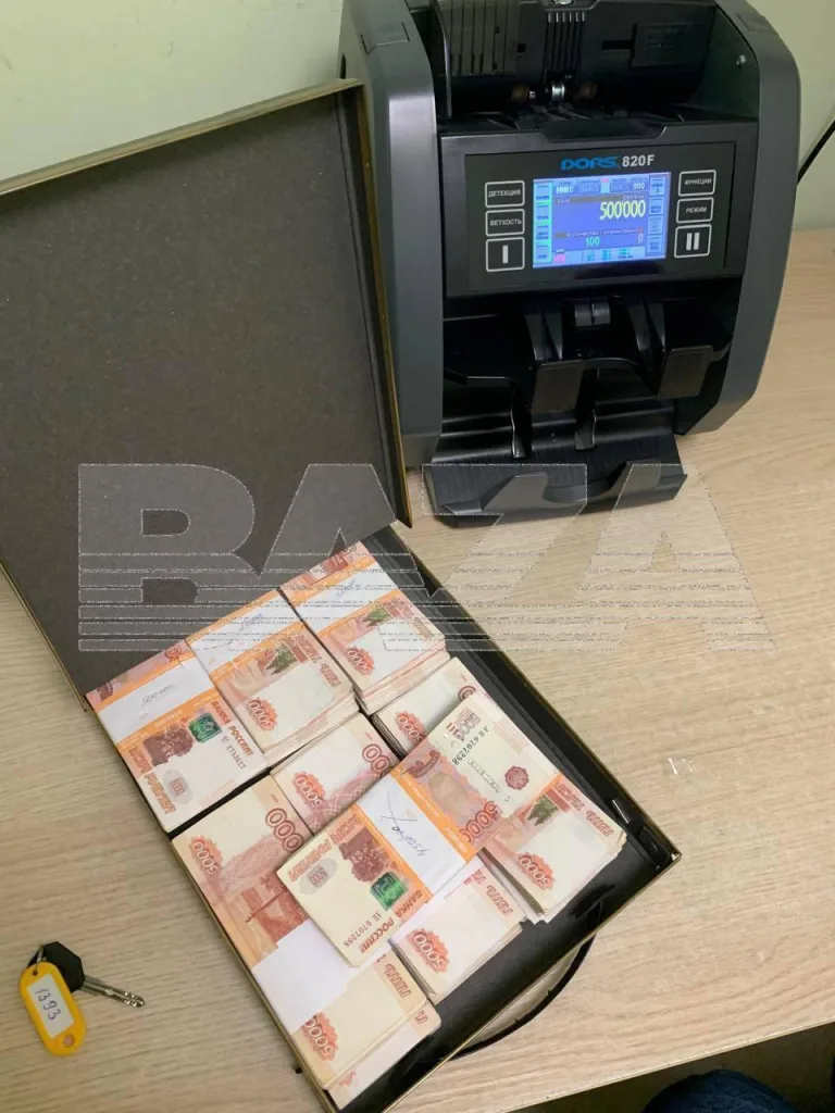 Пенсионер повторил «схему Долиной» и оказался в суде