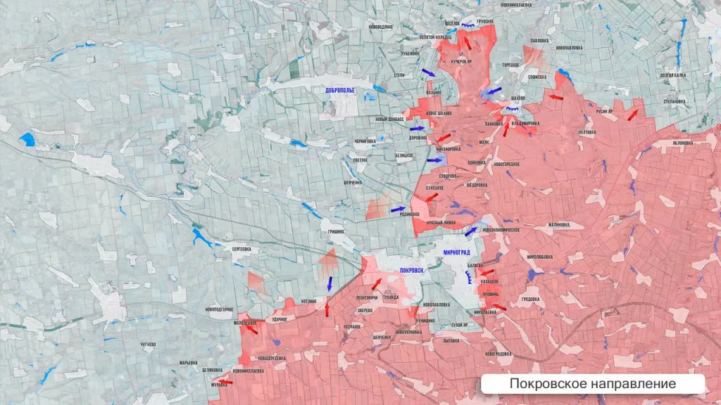 Царёв: Фронтовая сводка 1 ноября 2025 года