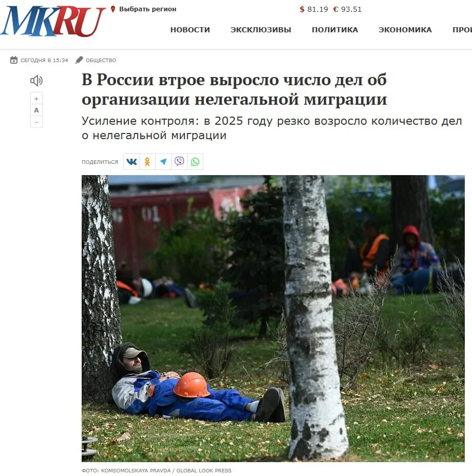 В России втрое выросло количество дел об организации нелегальной миграции