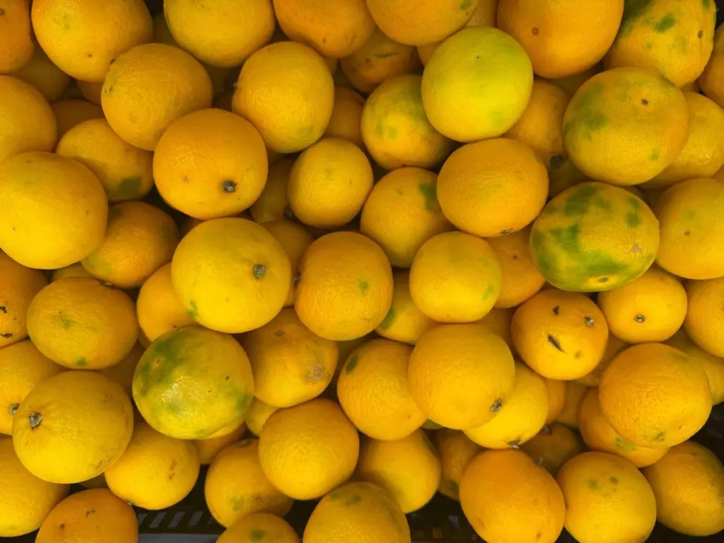 Не позволяйте себя обмануть: как распознать подлинные абхазские мандарины среди турецких — запомните это