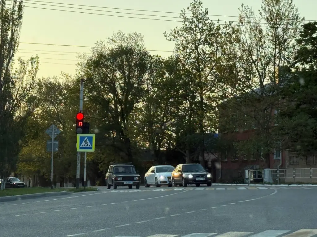 Нет в бардачке — штраф: водителей начнут поголовно наказывать за отсутствие этого документа