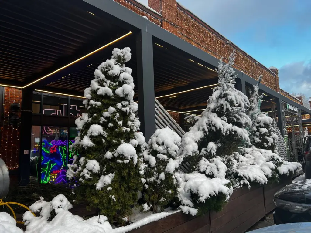 Не ожидайте привычной погоды. Какой будет зимний сезон в России — прогноз метеорологов