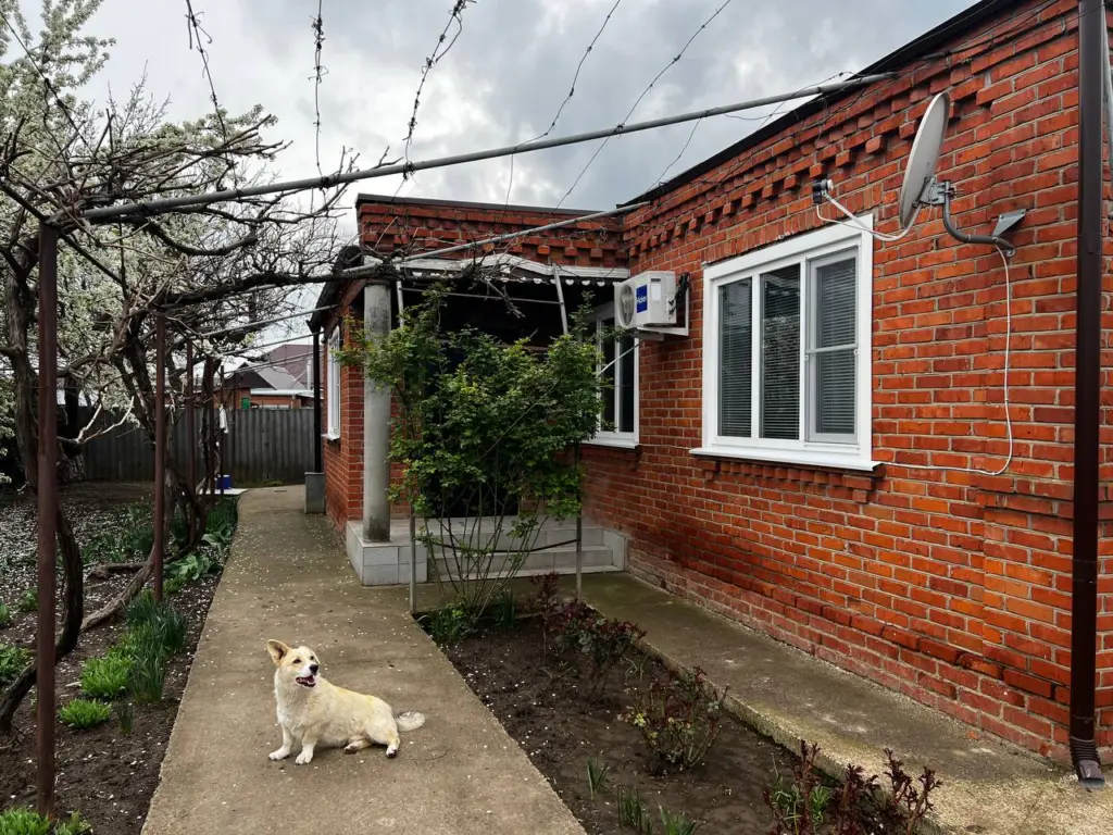 Кому мешали окна с форточками? Эксперты пояснили, приводит неправильная энергоэффективность