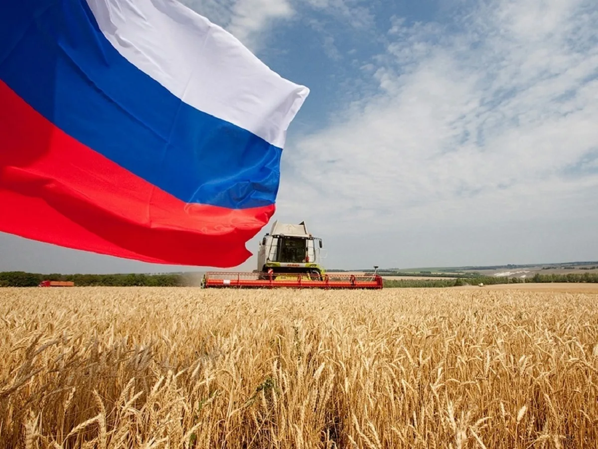 «Хочет «отвязаться» от России»: Армению обвинили в попытке помочь Украине через закупки зерна0