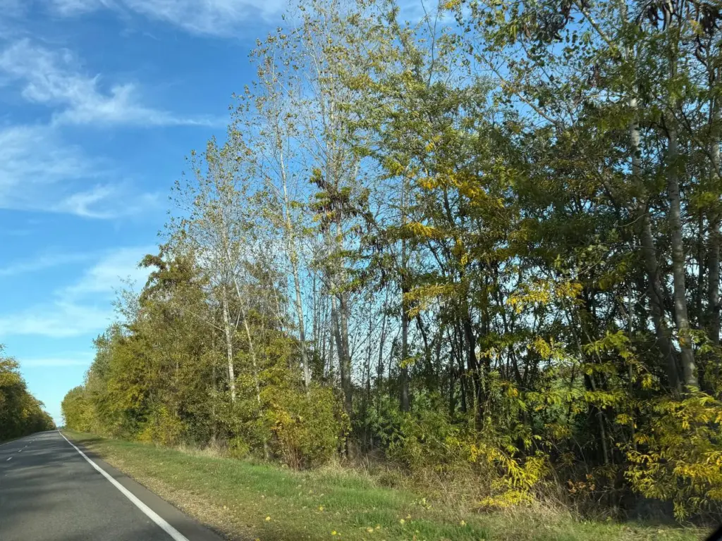 Поступили новые данные: синоптики резко ухудшили прогноз с 15 ноября