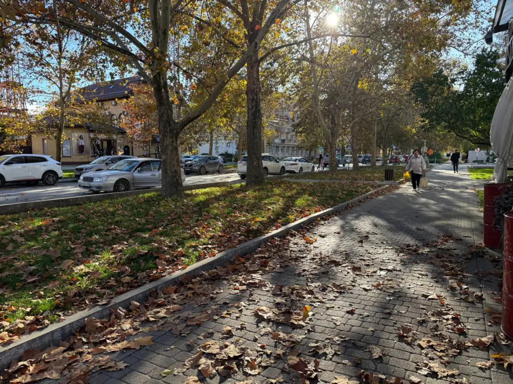 Полная отмена зимы: Вильфанд рассказал россиянам, что холод заменится теплом