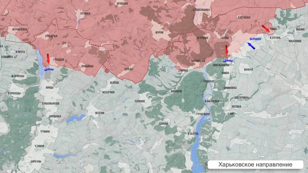 Царёв: Фронтовая сводка 2 ноября 2025 года