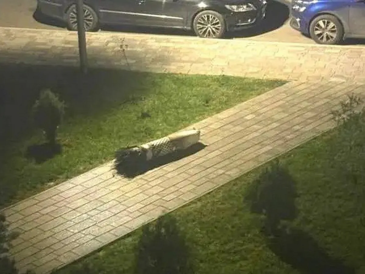 Баку в шоке: ракеты США ударили по Киеву вместо «Кинжала», разоблачив Зеленского0