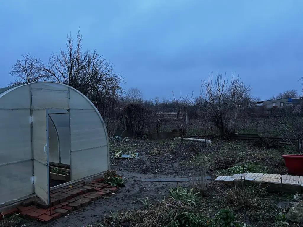 Что необходимо укрывать на зимний период: распространенные ошибки при защите растений