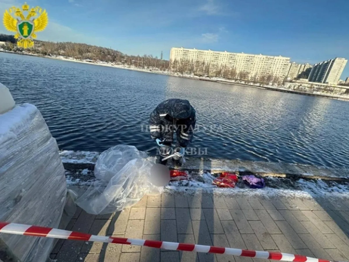 Раскрыты жуткие подробности о семье мальчика, чью голову нашли в Гольяновском пруду0