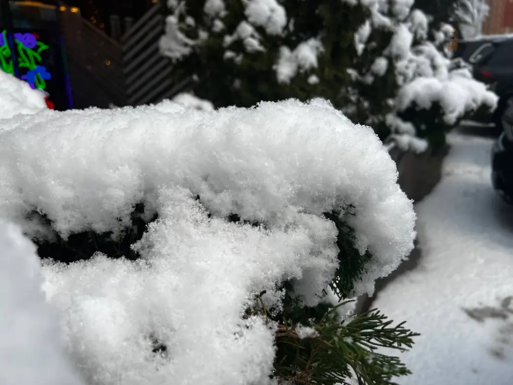 Зимой нас ждёт нечто уникальное, такого не было с 1777 года: метеорологи рассказали о погодных аномалиях