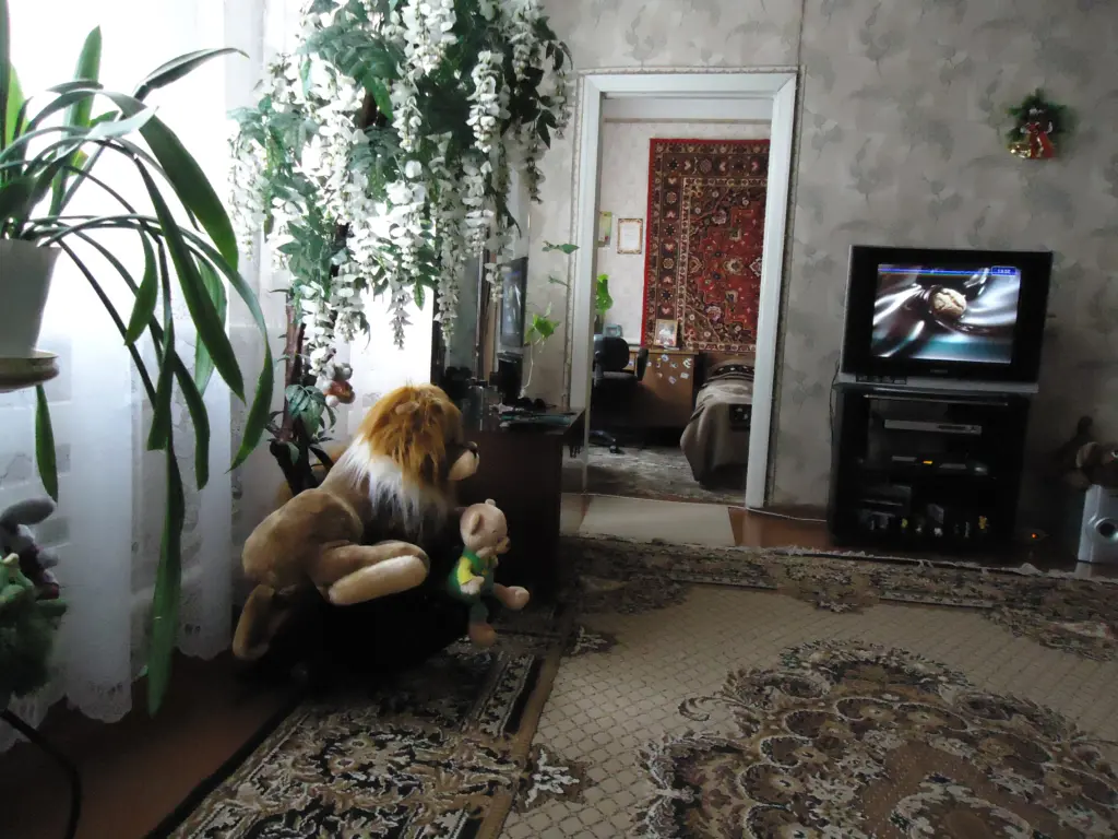 Не ламинат и не линолеум: такое напольное покрытие красивее и дешевле — выбор специалиста