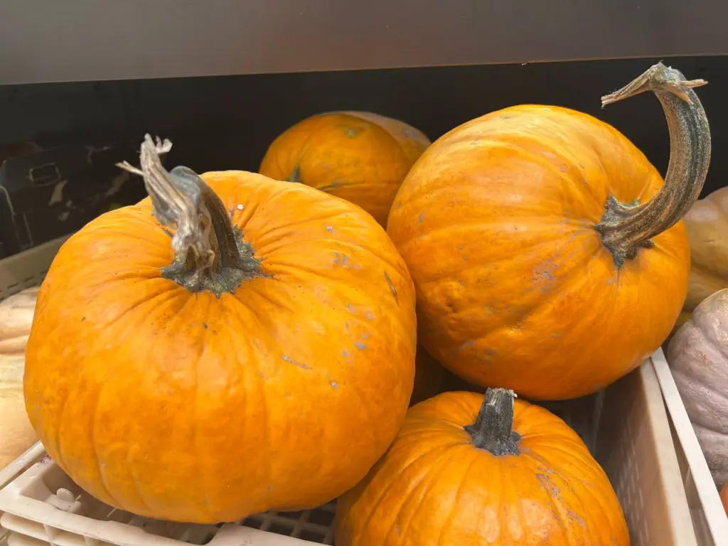 Тыквенная каша, которая покорит вас сначала своим восхитительным ароматом, а затем — великолепным вкусом, готовится всего за полчаса