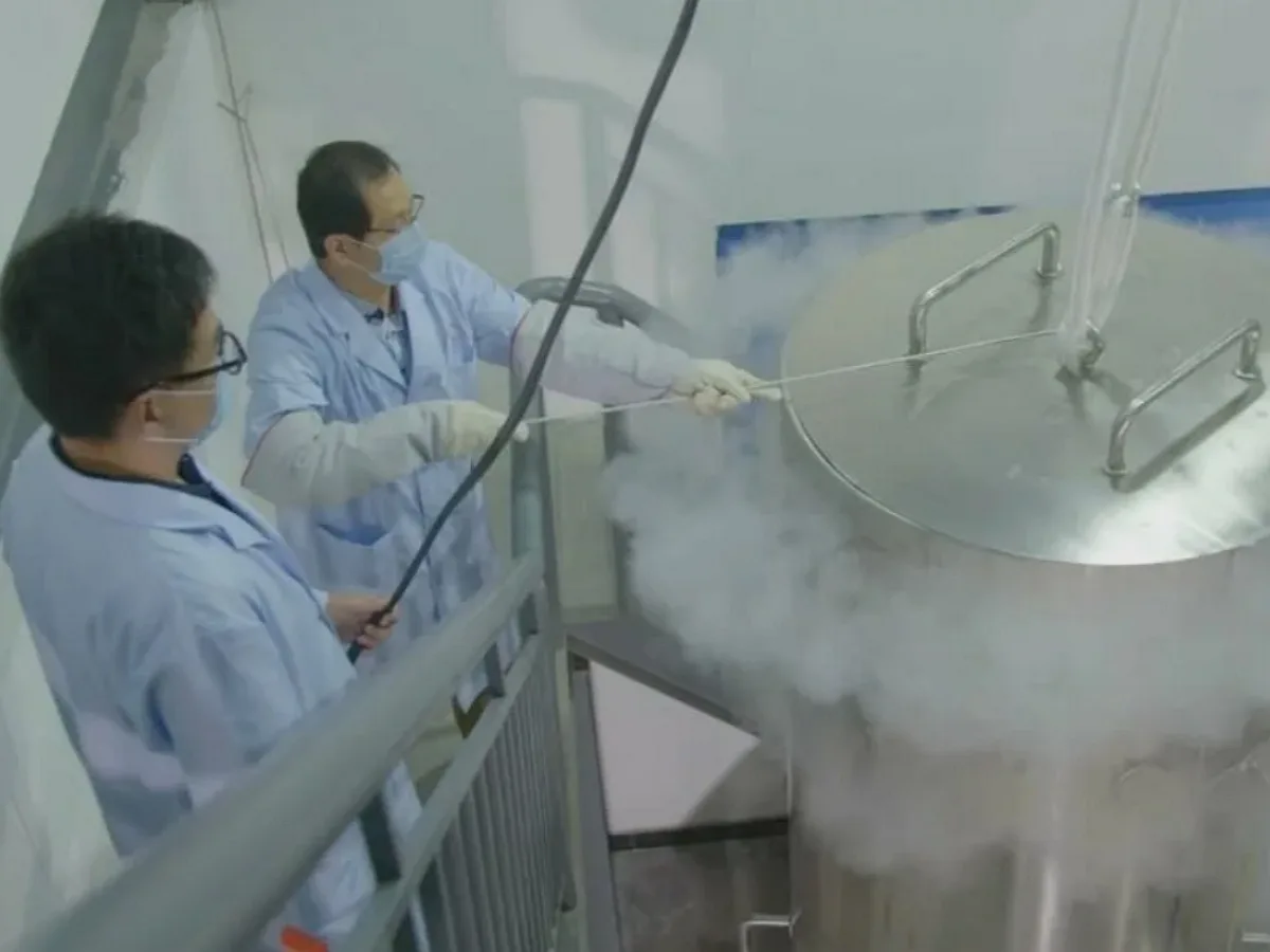 Китаец, отправивший больную жену в криогенный сон, нашел новую супругу0