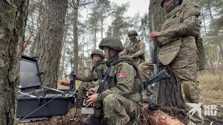 Северокорейские саперы в процессе разминирования территории Курской области, освобожденной от ВСУ