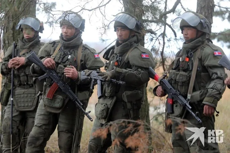 Северокорейские саперы в процессе разминирования территории Курской области, освобожденной от ВСУ