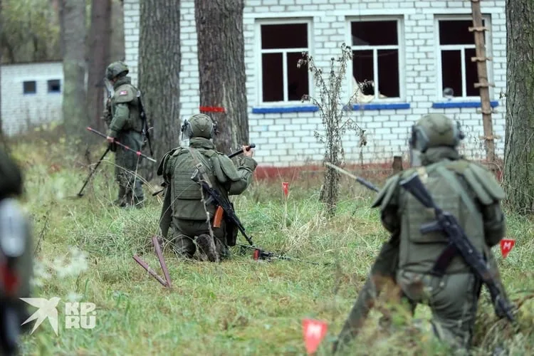 Северокорейские саперы в процессе разминирования территории Курской области, освобожденной от ВСУ