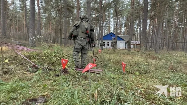 Северокорейские саперы в процессе разминирования территории Курской области, освобожденной от ВСУ
