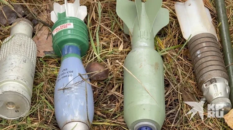 Северокорейские саперы в процессе разминирования территории Курской области, освобожденной от ВСУ