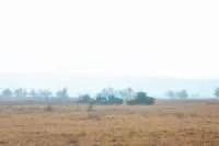 В молдавских Бельцах последние недели местные жители пугались громких взрывов и стрельбы