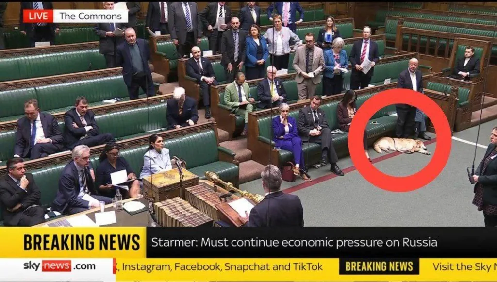 Так что с G8? Россия вернется?