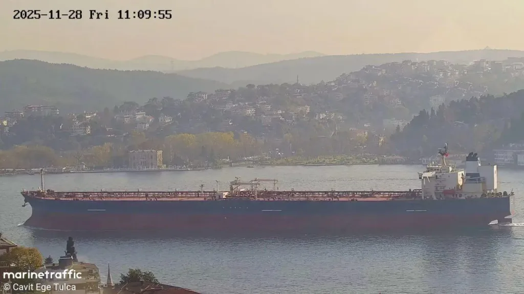 Украинские атаки могут привести к экологической катастрофе в Турции