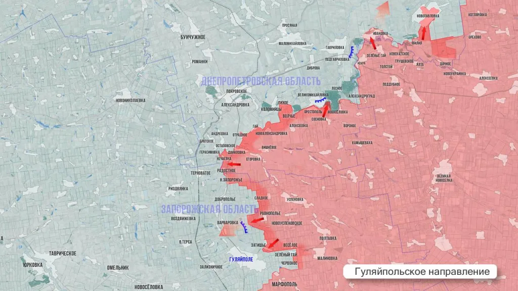 Царев: Фронтовая сводка 24 ноября 2025 года