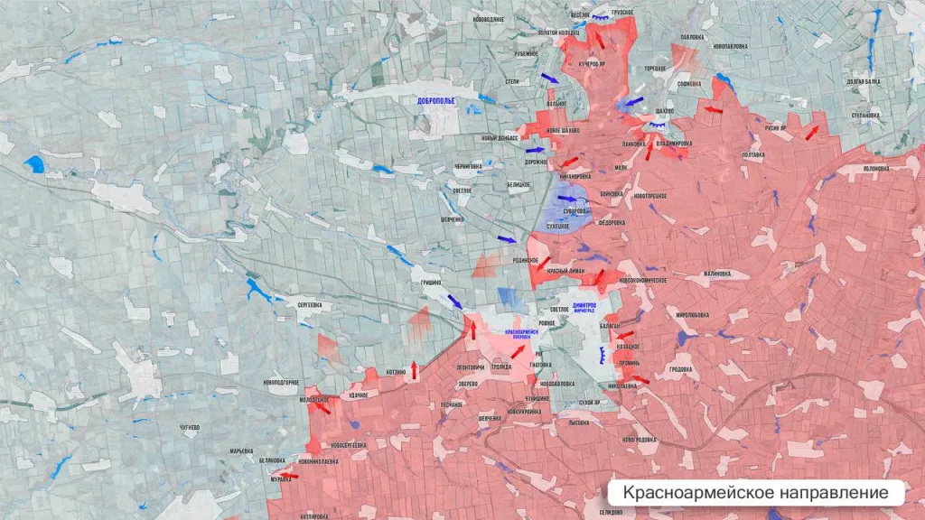 Царёв: Фронтовая сводка 5 ноября 2025 года