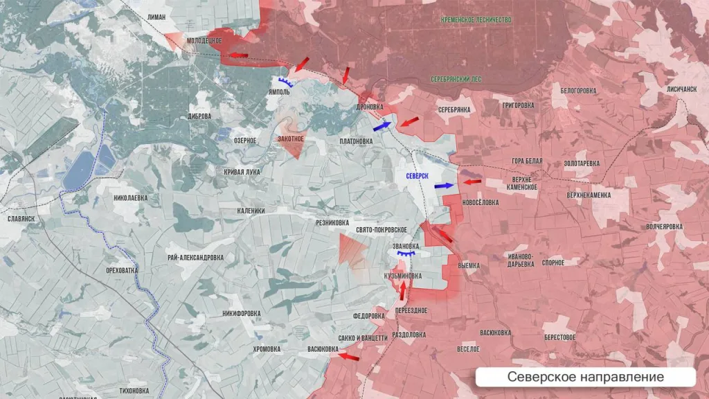 Царёв: Фронтовая сводка 9 ноября 2025 года