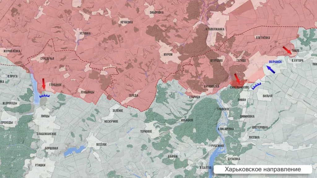 Царёв: Фронтовая сводка 14 ноября 2025 года