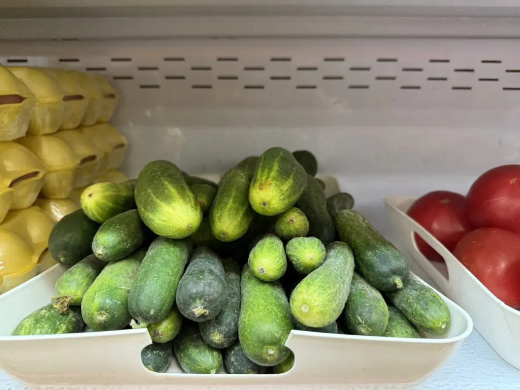 Не огурцы, а настоящая амброзия: три лучших сорта для засолки – хруст слышен на всю улицу