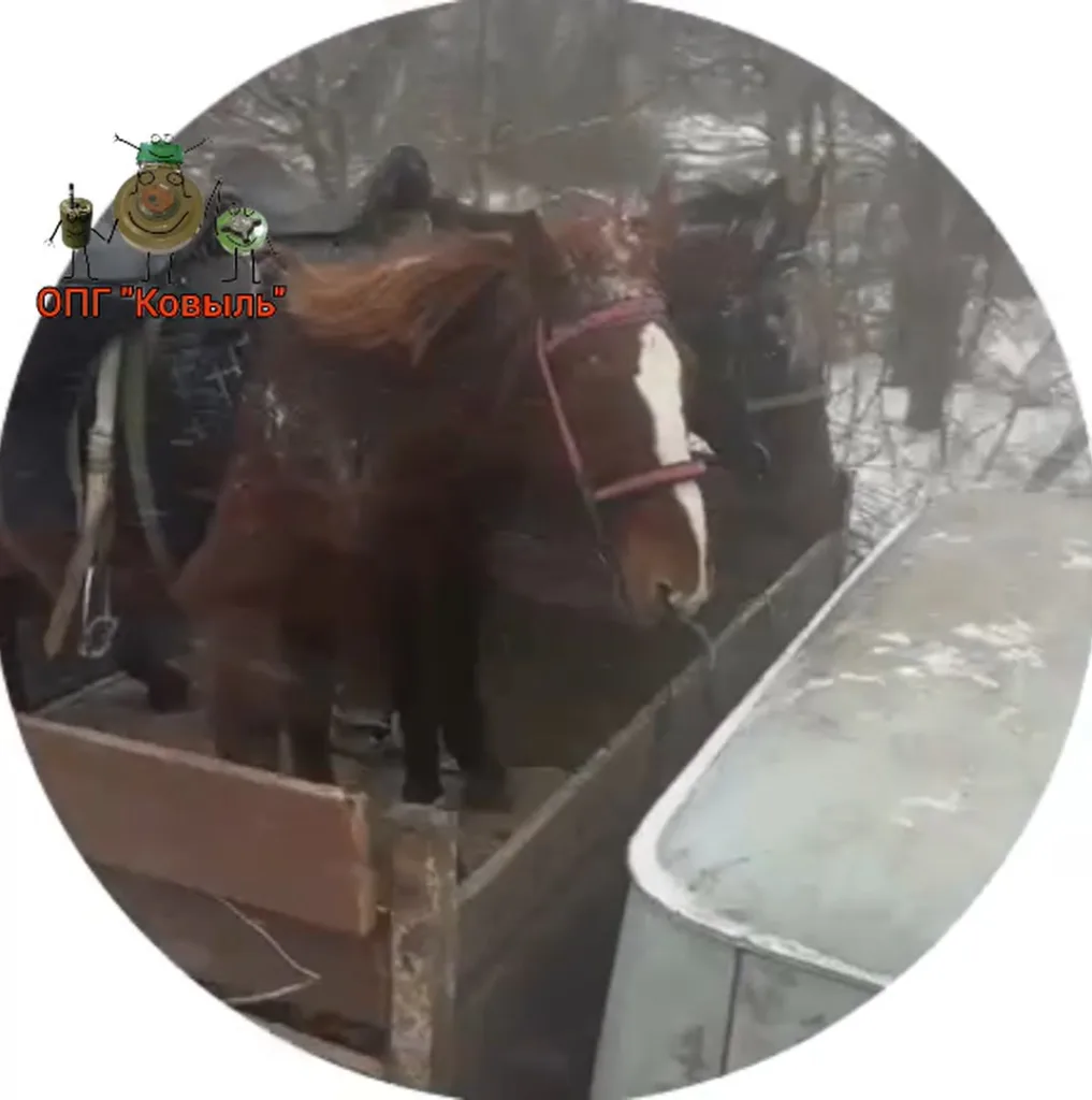 Кавалерийские войска продолжают расширяться