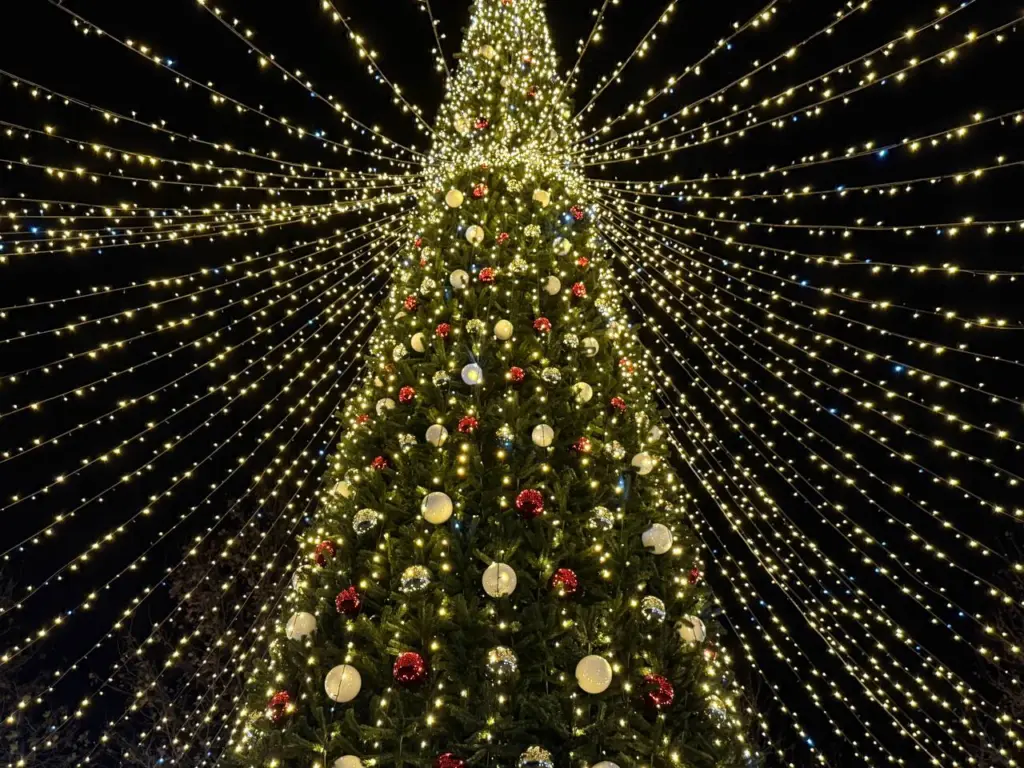 Выходные дни были сдвинуты из-за ситуации в стране: новогодние праздники 2025-2026 претерпят изменения и не будут такими, как прежде