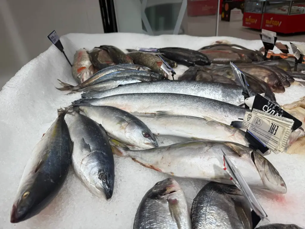 На первый взгляд, скумбрия выглядит обыденно, но по своим вкусовым качествам она превосходит форель. Небольшой секрет с горчицей и доступная рыба превращаются в настоящее лакомство