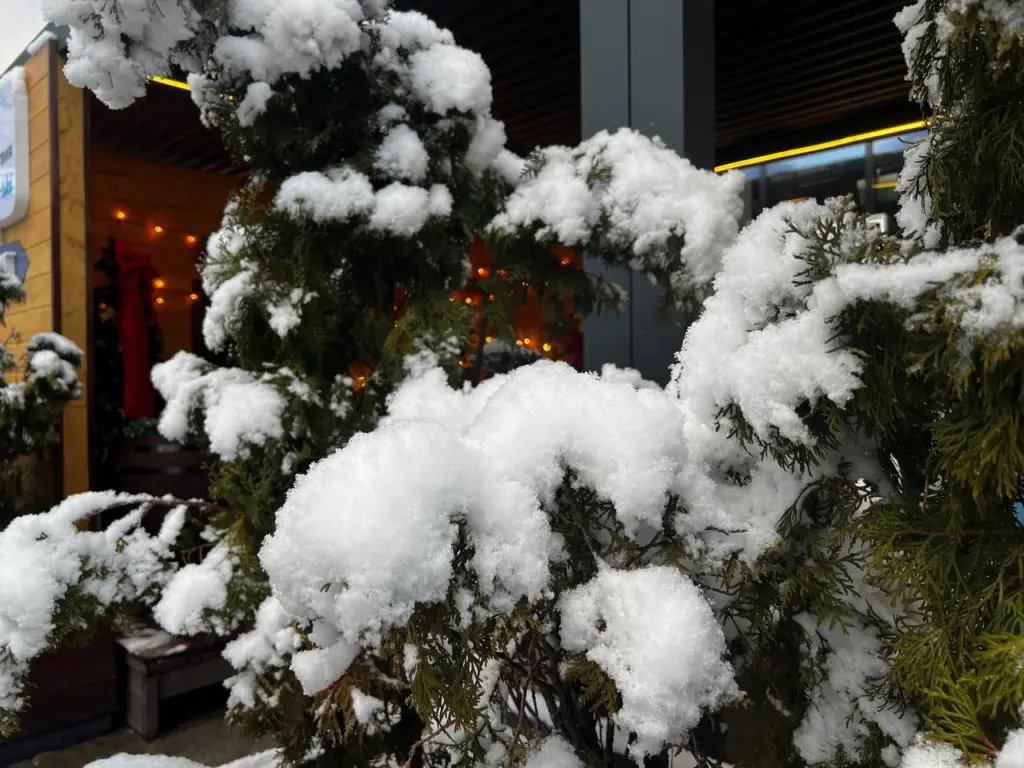 Нас ожидает сильный холод? Когда начнётся снегопад и придёт настоящая зима