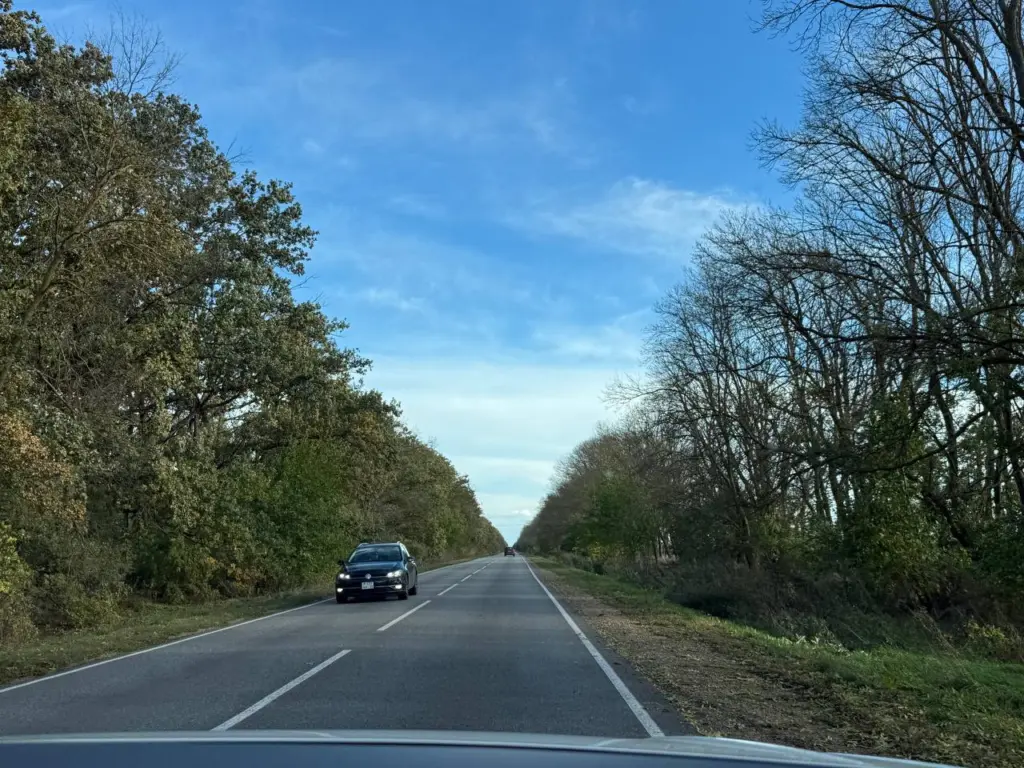 Инспектор ГИБДД: «Пассажир сзади не зафиксирован ремнем безопасности, я выписываю штраф» — кто должен заплатить и как поступать в соответствии с законом