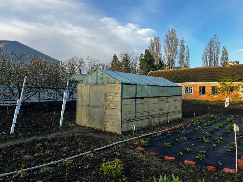 Легкий метод определения кислотности почвы без использования приборов — это быстрый, но эффективный тест