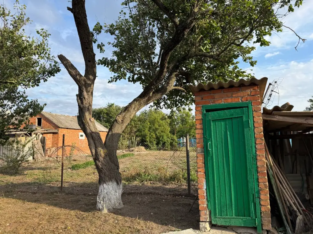 Бросайте всего одну таблетку раз в месяц — септик очищается даже в зимний период