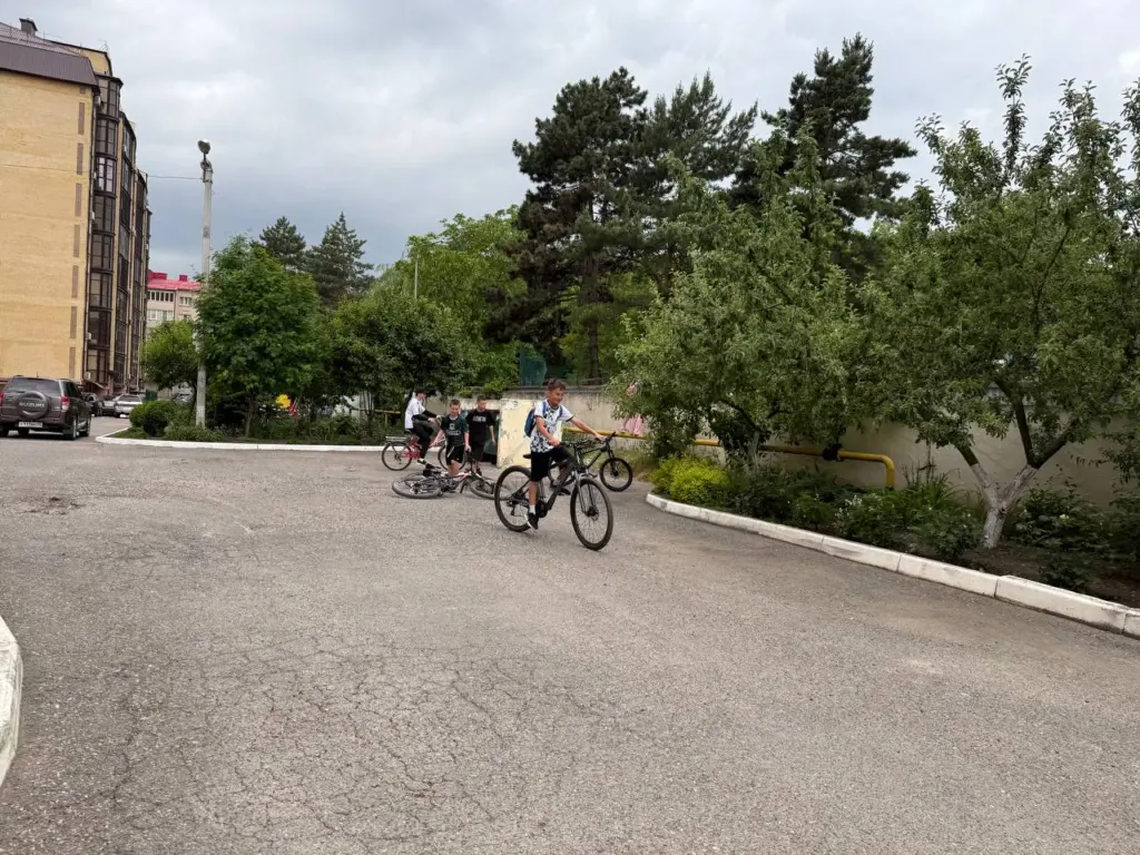 В Советском Союзе это имя пользовалось большой популярностью, а в настоящее время о нем просто забыли. Умное значение — «потомок правой руки»