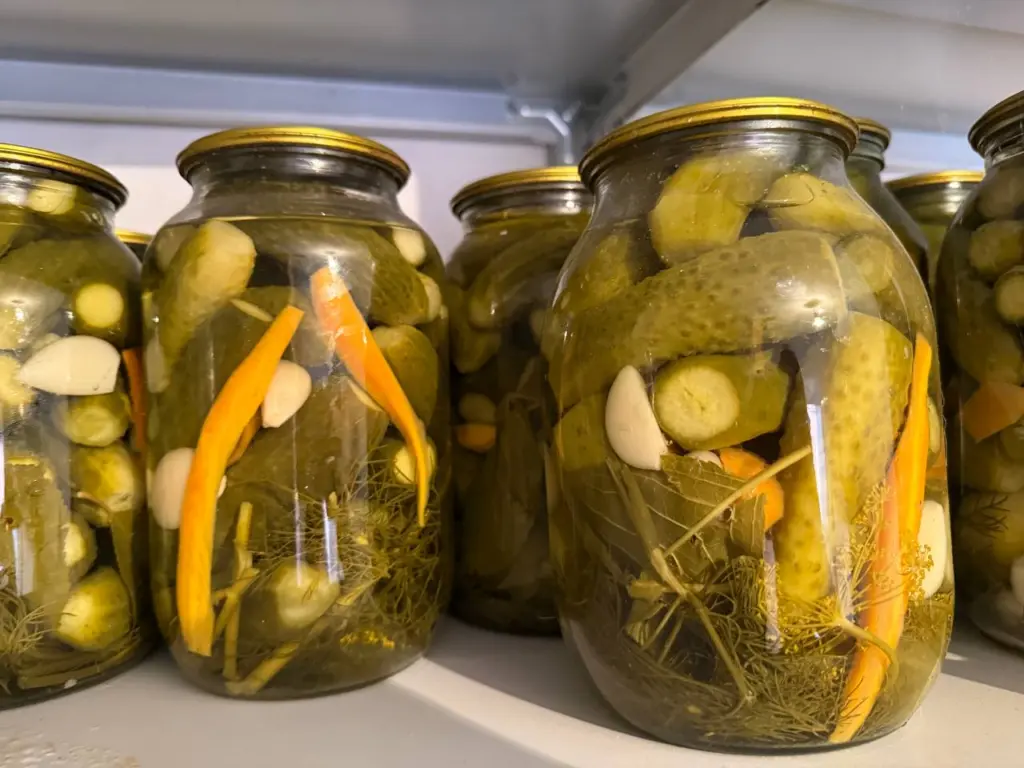 Аутентичные соленые огурцы, как у бабушки: метод холодной засолки в русской традиции — хрустящие и без предварительного кипячения