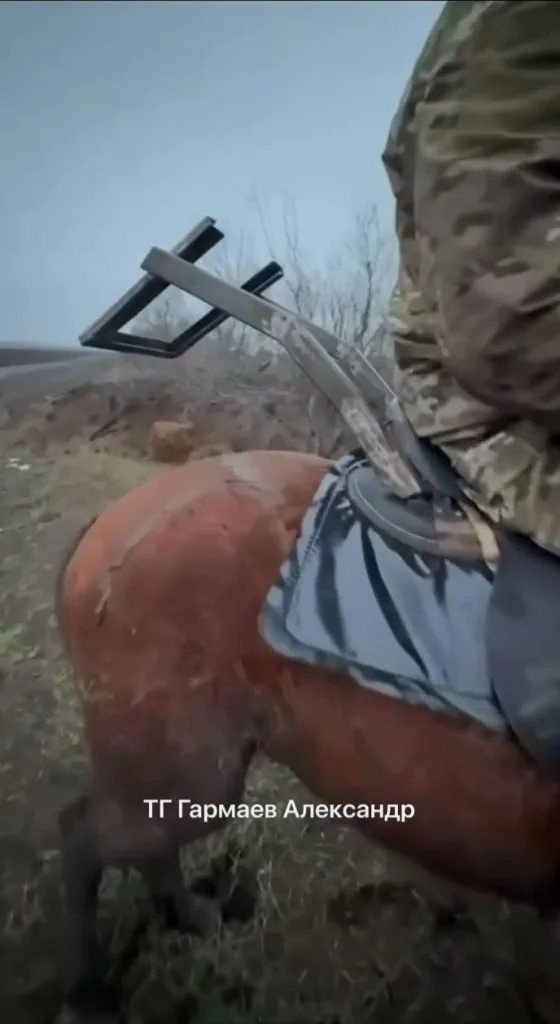 Еще лошадей со Starlink вам