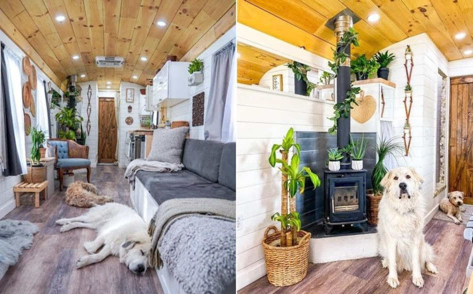 Как старый школьный автобус стал полноценным домом на колесах для семьи