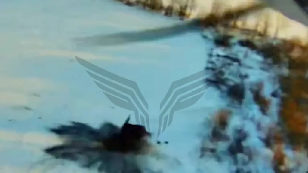 Удары дронов-камикадзе БМ-35 по РЛС AN/MPQ-53 (или её макету) из состава ЗРК MIM-104 Patriot в районе Харькова