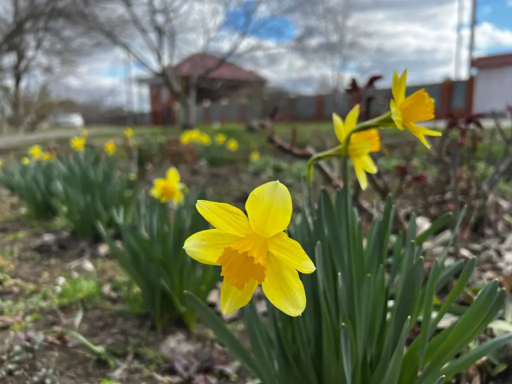 Не пропустите: народная примета 24 января предсказывает весну 2026 – что стоит знать, чтобы не ошибиться